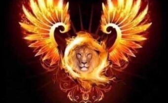 Pavel Zítko komentuje –                                                                            Trump…