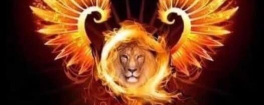 Pavel Zítko komentuje –                                                                            Trump…