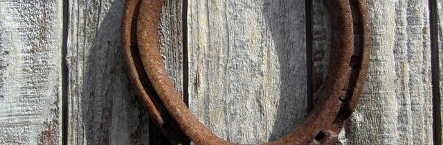 Panty z podkov – Kabinet Kuriozit