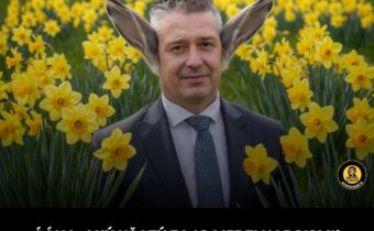 Dnes je Deň narcisov