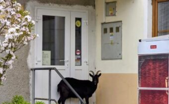 Domáce spravodajstvo / Fľuska post 2026-04-15 12:04:41