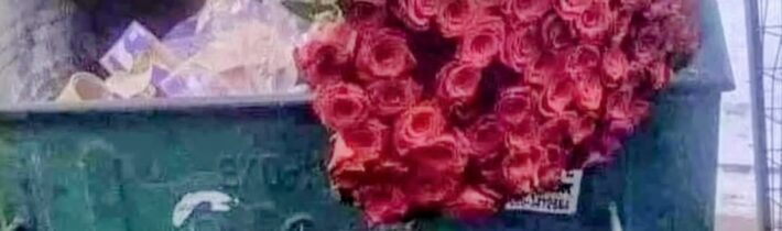 Fľuska ftípek / Fľuska post 2026-04-11 23:00:24