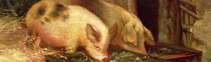 Zdá se, že český spotřebitel je pro Západ jen čuně u koryta