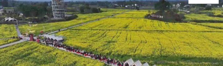 Čína našla recept na bohatší venkov!