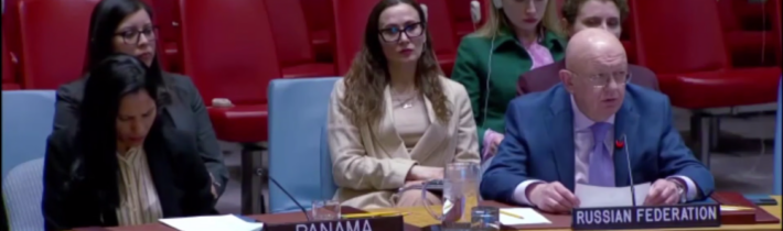 V. A. Nebenzja na zasadnutí Bezpečnostnej rady OSN o Ukrajine