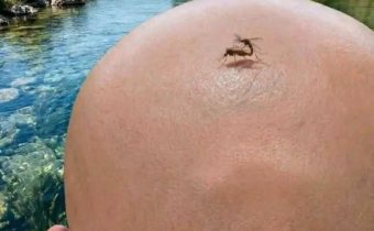 Tešíte sa už na leto? / Fľuska post 2026-04-18 09:02:45