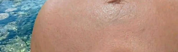 Tešíte sa už na leto? / Fľuska post 2026-04-18 09:02:45