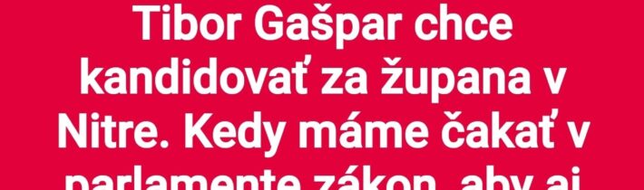 V PS už zjavne poznajú budúce rozhodnutie súdu / Fľuska post 2026-04-29 20:02:09