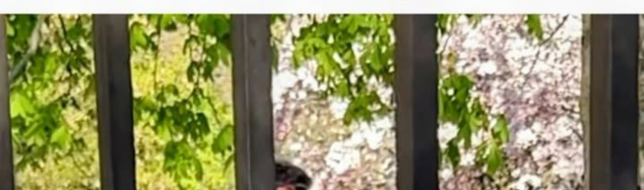 Vallovčina – vy triedite a progresívci nariadia to všetko spáliť. Gratulujeme / Fľuska post 2026-04-18 20:00:55