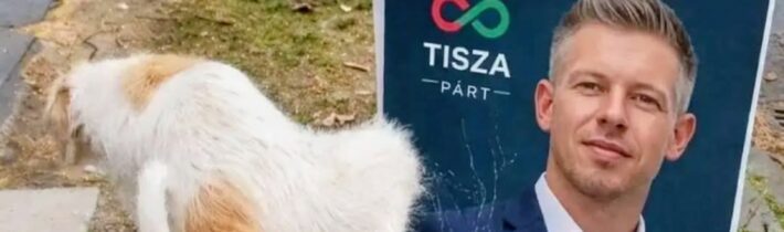 Volebne od južných susedov / Fľuska post 2026-04-12 09:00:15