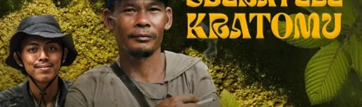 Sběratelé kratomu – dokument ČR   2025