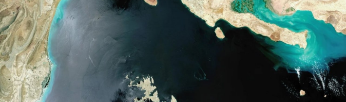 Larry Johnson: Trump se nechal Izraelem přehrát… A hra pokračuje – P9 – Sklad: PŘEKLADY ATD.