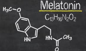 Bojovník s rakovinou – Melatonín