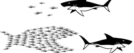 Caitlin Johnstone: Neměli bychom se bát tyranů; tyrani by se měli bát nás – INFOKURÝR