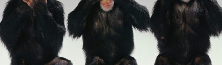 Nikolaj Azarov: Prieskumy verejnej mienky na Ukrajine neukazujú skutočný obraz