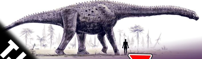 Počítání slonů vesmírnými satelity/ Zkoumání nebezpečného asteroidu/ Chemický hmat rostlin [TIP 235]