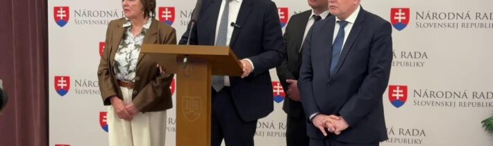 TK SNS: K schváleniu zákona o Obecnej polícii