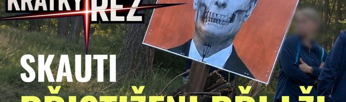 Jak SKAUTI mažou důkazy! SUDEŤÁKŮM v Brně STOP! Politické kuře Demetrashvili a kauza Cimický.