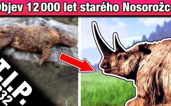 Největší vertikální farma v Evropě/ Japonské družice ze dřeva/ Spuštění Starlinku v Řecku  [TIP 232]