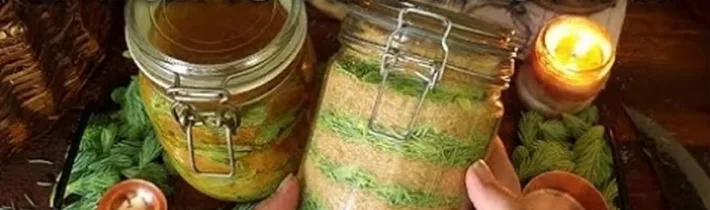 SMREKOVÉ VÝHONKY🌱 SMREKOVÝ MED A SIRUP 🌿2 RECEPTY