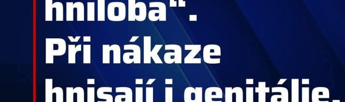 ! / Fľuska post 2026-05-18 17:01:39