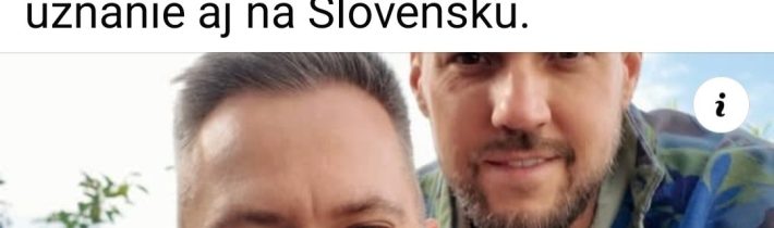 Najdôležitejší problém súčasného Slovenska. / Fľuska post 2026-05-19 11:58:30