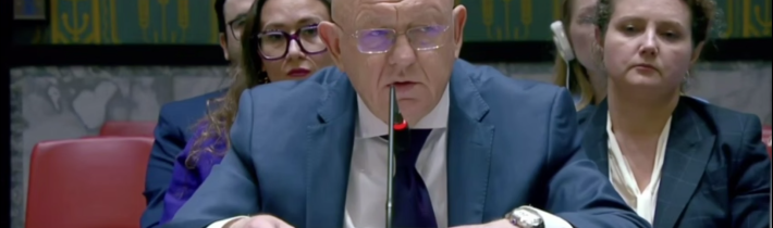 V. A. Nebenzja na zasadnutí Bezpečnostnej rady OSN ohľadne útoku na Starobeľsk
