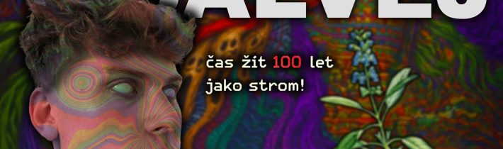 Jak Vám Tahle Droga Dokáže Zničit Život