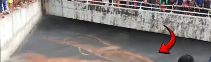 Dron vletěl do zakázané řeky a zachytil něco, co nikdo neměl vidět!
