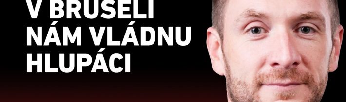 MILAN UHRÍK: V BRUSELI NÁM VLÁDNU HLUPÁCI