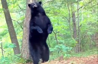 Dobré ránkoŤažko po víkende…