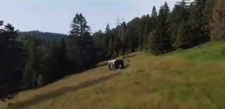 Všetko, čo ste dnes potrebovali vidieť: Starého Šimečku v slipoch na schodíkoch …