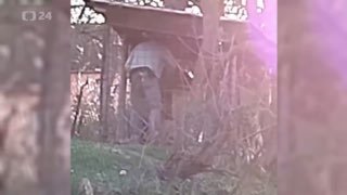 Video nie je vhodné pre slabšie a citlivé povahyprípad z Čiech! Dpč, tak majú na…