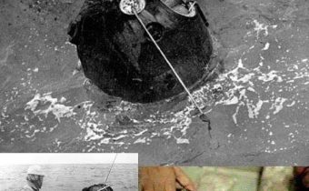 V roku 1968 poslal ZSSR do vesmíru korytnačky ešte pred Američanmi