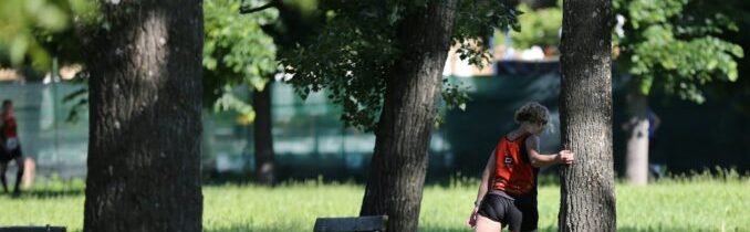 Co naučit děti, než vyletí z hnízda: Hádat se – Konzervativní noviny