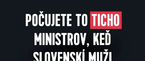 Ak tomu správne rozumiem, podľa Plavákovej je väčší problém násilie páchané par…