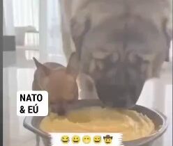 Tak a už som našiel ako opísať konflikt na Ukrajine! @slobodaprejavu…