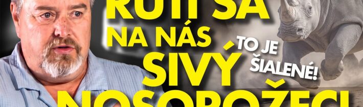 Koláček šokuje: POZOR! RÚTI SA na nás SIVÝ NOSOROŽEC!