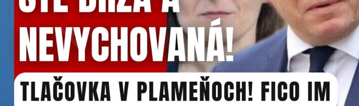 Novinárka Denníku N lapala po dychu: Fico ju roztrhal na kusy! #komentar #politika #fico