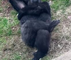 už ste sa všetci vykotúlali z postele? …