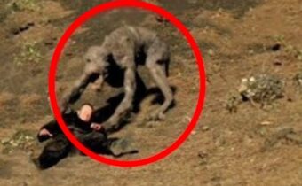 20 Nejděsivějších Tvorů Zachycených Na Kameru