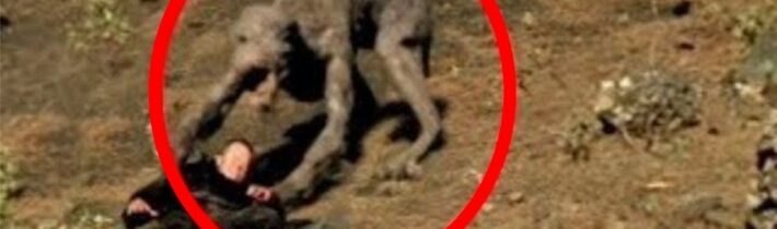 20 Nejděsivějších Tvorů Zachycených Na Kameru