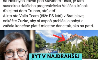 Progresívna realitná fľuska / Fľuska post 2026-09-21 15:01:54
