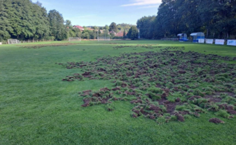 Zelená je tráva Fotbal to je hra A ten krtek kulatý Věc je záludná / Fľuska post 2026-09-19 09:02:24