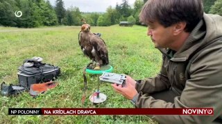 Exkluzívne zábery vznikajúce na krídlach dravca! Priamo v Poloninách …• Spolu…