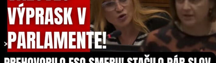 Smeráčka Jana Vaľová je hitom internetu! Stačilo pár slov a Koliková si v parlamente neškrtla…