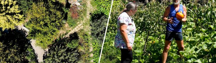 Potravinová soběstačnost: Na druhé zahradě s Monikou – hokaido, kukuřice a ačokča