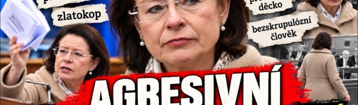 J. BOBOŠÍKOVÁ: Odchází dáma, nebo politička s hrubým slovníkem i mravy?