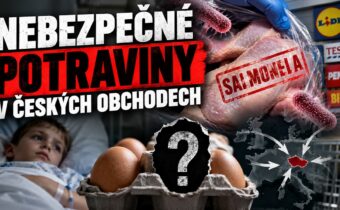 J. BOBOŠÍKOVÁ: Salmonela z Polska, Rumunska i Ukrajiny. Stovky nemocných dětí a ticho úřadů.
