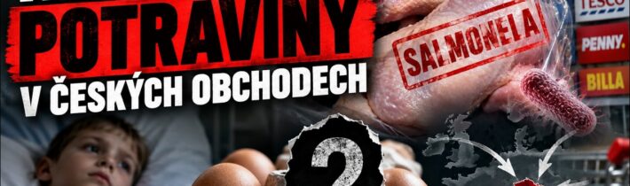 J. BOBOŠÍKOVÁ: Salmonela z Polska, Rumunska i Ukrajiny. Stovky nemocných dětí a ticho úřadů.